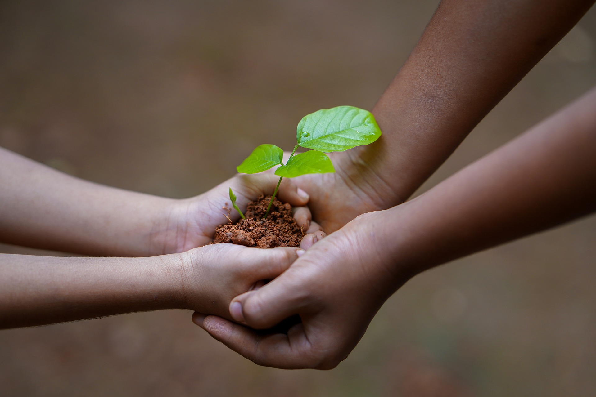 Fundraising & Non-Profit Call Centers