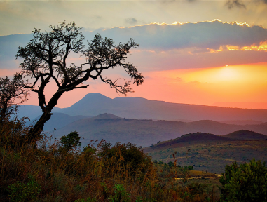 south-africa-call-center-growth